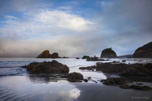 Moonstone Beach-2881